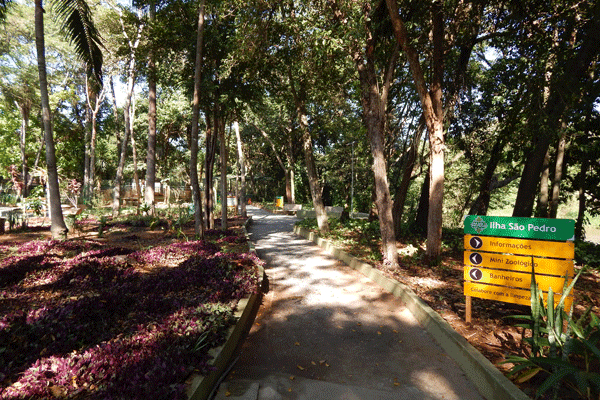 ilha-s-pedro-3