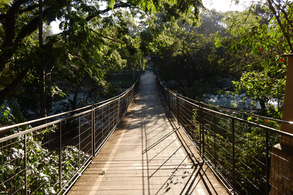 ilha-sao-pedro-ponte