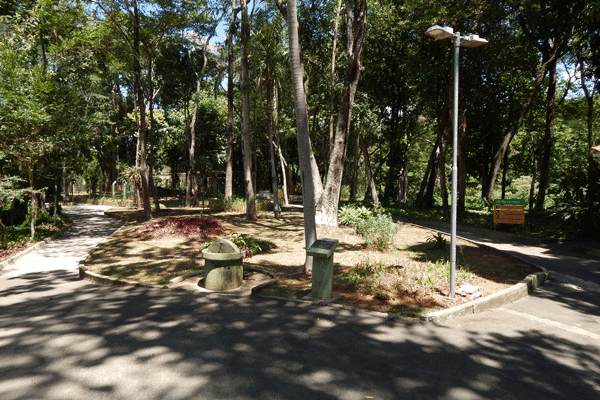 ilha-sao-pedro